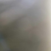 8) Jachtseizoen Den Haag