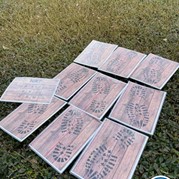 12) Dropping Lunch Leeuwarden