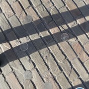 12) Jachtseizoen Gent