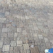 8) Jachtseizoen Gent