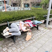 13) Jachtseizoen / begeleiding op afstand Kortrijk 