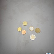 14) Jachtseizoen / begeleiding op afstand Kortrijk 