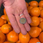 17) Jachtseizoen / begeleiding op afstand  (Eigen locatie)