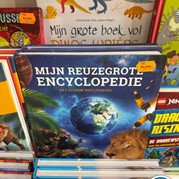 2) Get the Picture Doetinchem