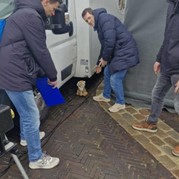 4) The Hangover  Arnhem