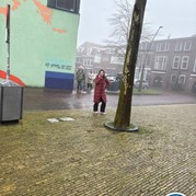 17) Hunted met begeleiding op afstand  (Eigen locatie)