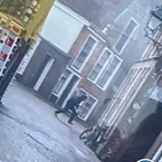 25) Hunted met begeleiding op afstand  (Eigen locatie)