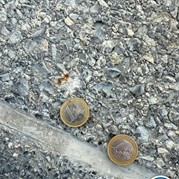 43) Jachtseizoen / begeleiding op afstand  (Eigen locatie)