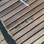 23) Jachtseizoen Brugge