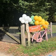 1) Gek op Holland quiz - Eigen locatie  (Eigen locatie)