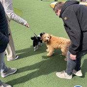 19) Foute Vrienden (zonder horeca)  (Eigen locatie)