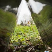 19) Dropping *  (Eigen locatie)