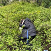 27) Dropping *  (Eigen locatie)