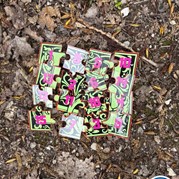 8) Dropping *  (Eigen locatie)