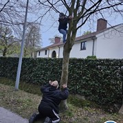 23) Dropping *  (Eigen locatie)