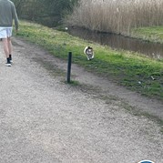 21) Help, de Directeur is ontvoerd! *  (Eigen locatie)