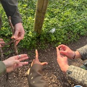 9) Help, de Directeur is ontvoerd! *  (Eigen locatie)