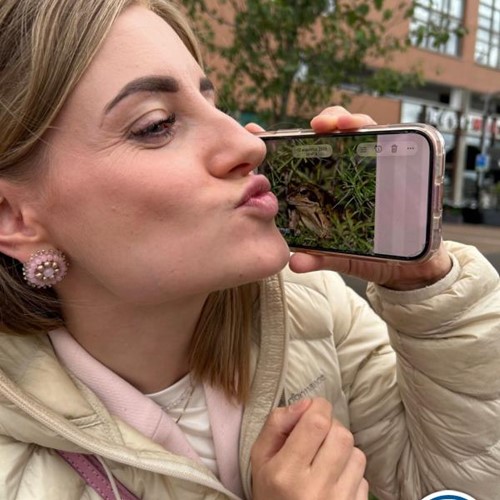 Crazy 88 Rotterdam