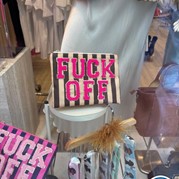 3) Gooische vrouwen met begeleiding op afstand  (Eigen locatie)