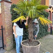 12) HELP, de Directeur is ontvoerd!  (Eigen locatie)