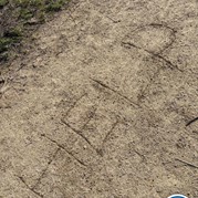 16) HELP, de Directeur is ontvoerd!  (Eigen locatie)