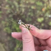 46) The Wedding Game Doetinchem