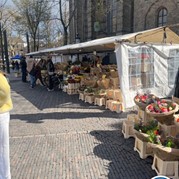 21) Hunted met begeleiding op afstand  (Eigen locatie)