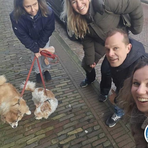 Wie ontdekt de Verrader met begeleiding op afstand  (Eigen locatie)