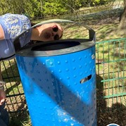 11) Citygame Levend Ganzenbord Almelo