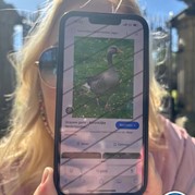 17) Citygame Levend Ganzenbord Almelo