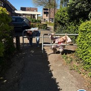 20) Citygame Levend Ganzenbord Almelo