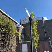 24) Citygame Levend Ganzenbord Almelo