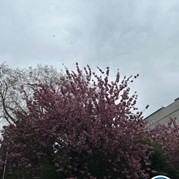 16) Escape in the City met begeleiding op afstand  (Eigen locatie)