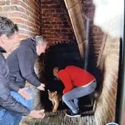 4) The Hangover  Kampen