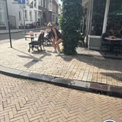 40) Jachtseizoen Tilburg