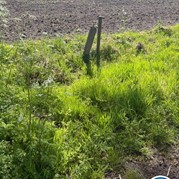 4) Dropping * Enschede
