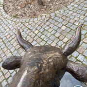 36) Cluedo Den Bosch