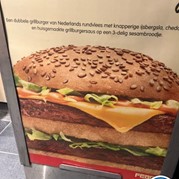 16) Wie ontdekt de Verrader met begeleiding op afstand  (Eigen locatie)