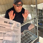 12) HELP, de Directeur is ontvoerd! Hasselt