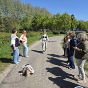 10) 50 Tinten Grijs zonder begeleiding  (Eigen locatie)