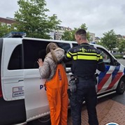 11) Jachtseizoen eigen locatie  (Eigen locatie)