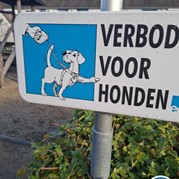 15) Cluedo met begeleiding op afstand  (Eigen locatie)