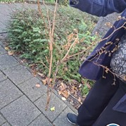 18) Cluedo met begeleiding op afstand  (Eigen locatie)