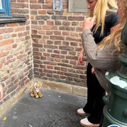 5) The Hangover vrouwen party (zonder horeca) *  (Eigen locatie)