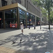 6) The Wedding Game Rotterdam