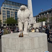 3) The Hangover  Amsterdam