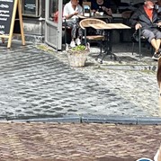 8) The Hunt met begeleiding op afstand  (Eigen locatie)