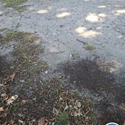 24) Jachtseizoen eigen locatie  (Eigen locatie)
