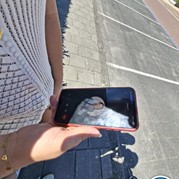 32) Jachtseizoen eigen locatie  (Eigen locatie)