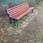 19) Cluedo met begeleiding op afstand  (Eigen locatie)